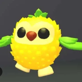 Pineapple Owl