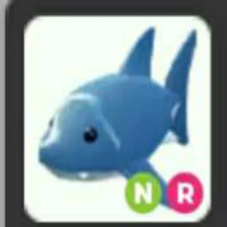 Nr Shark
