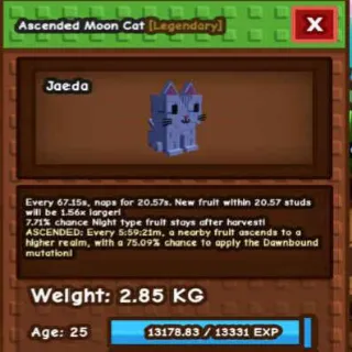 Ascended Moon Cat