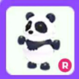 Giant Panda R