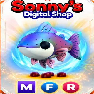 Mfr Rainbow Trout