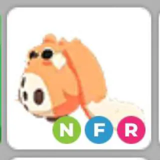 Nfr Cabbit
