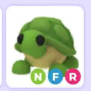 Nfr Turtle