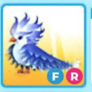 Fr Frost Phoenix