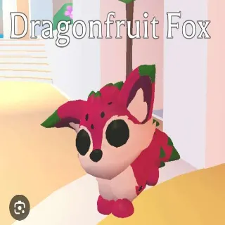 4x Dragonfruit Fox