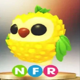 Nfr Pineapple Owl