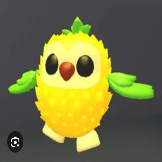 Pineapple Owl
