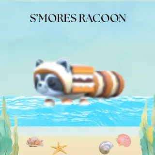 S'MORES RACOON