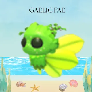 GAELIC FAE