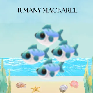 MANY MACKAREL