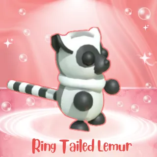 RING TAILED LEMUR