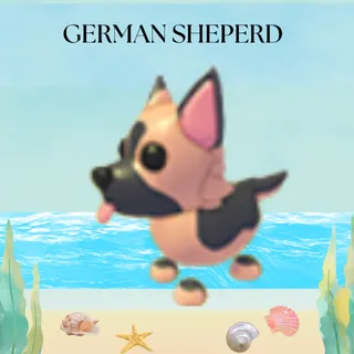 GERMAN SHEPERD