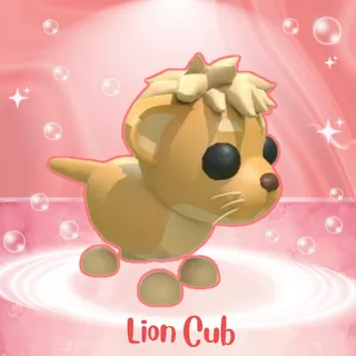 LION CUB