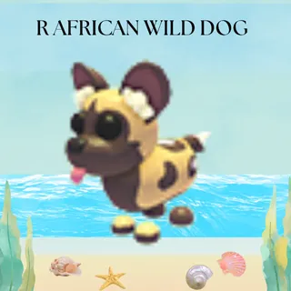 R AFRICAN WILD DOG
