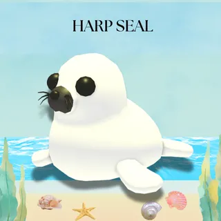 HARP SEAL