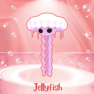 JELLY FISH
