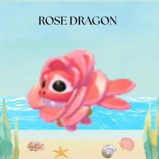 ROSE DRAGON