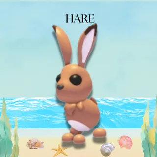 HARE