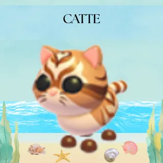 CATTE