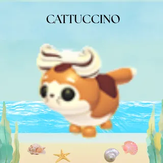 CATTUCINO