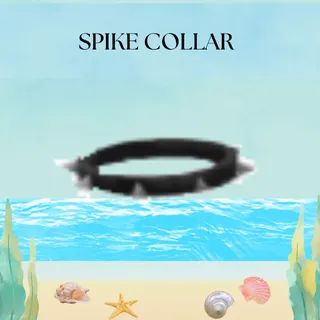 SPIKE COLLAR