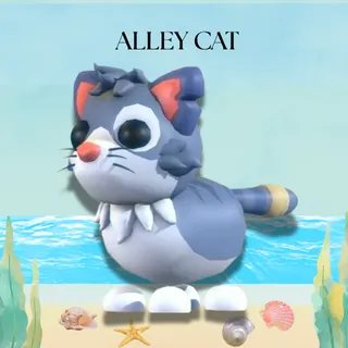 alley cat