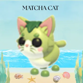 MATCHA  CAT