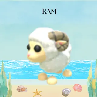 RAM