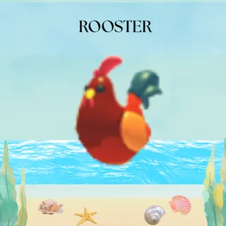 ROOSTER