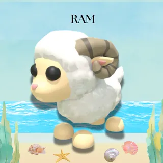 RAM