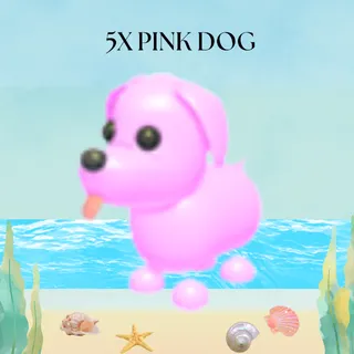 5X PINK CAT