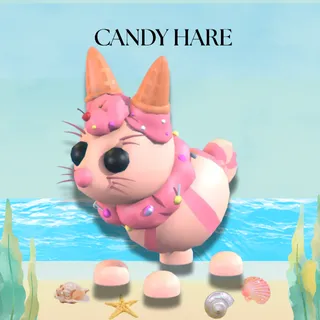 CANDY HARE