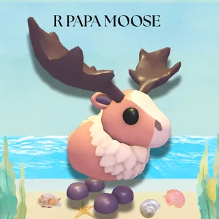 r papa moose