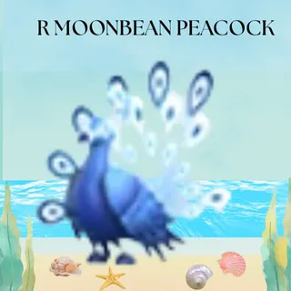 R MOONBEAM PEACOCK