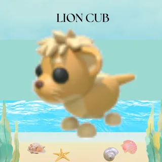 LION CUB