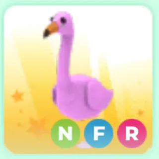 Flamingo NFR