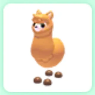 Alpaca