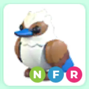 Kookaburra NFR