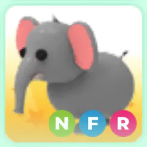 Elephant NFR