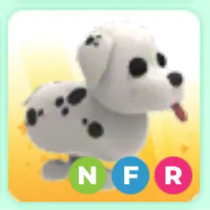 Dalmatian NFR