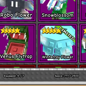 winterray flower | GTD