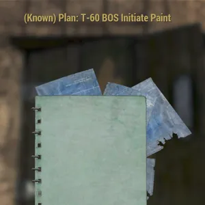 T-60  BOS Initiate Paint