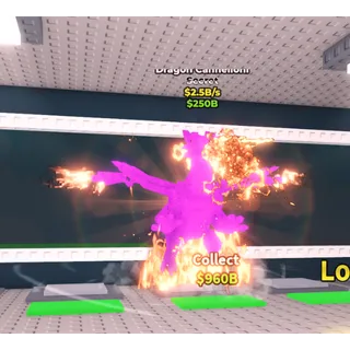 Dragon Cannelloni Rainbow 2.5B/S