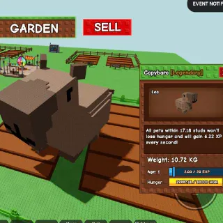 107.2KG at age 100 Colossal Godly Capybara - Super Sale Rush - Cheapest