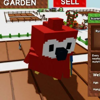 101.38kg at Age 100 Godly Colossal Scarlet Macaw