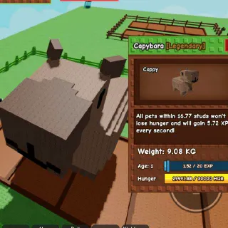 Promo!! 2 Titanic Godly Capybara 90.8KG + 79.4kg At Age 100 (As Of Now 9.08kg Age 1 And 8.66kg Age 2)