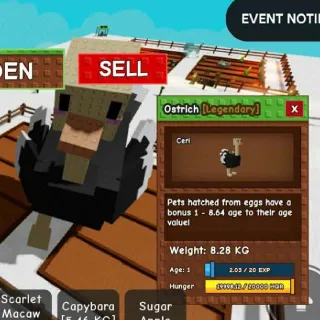 82.8KG at age 100 Titanic Ostrich