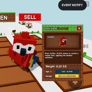 75.17kg at Age 100 Titanic Scarlet Macaw