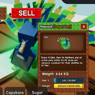 46.4KG at age 100 Huge Titanic Peacock