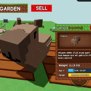 111.3KG at age 100 Colossal Godly Capybara - Flash Sale! (1 stock only) - Newly Hatched